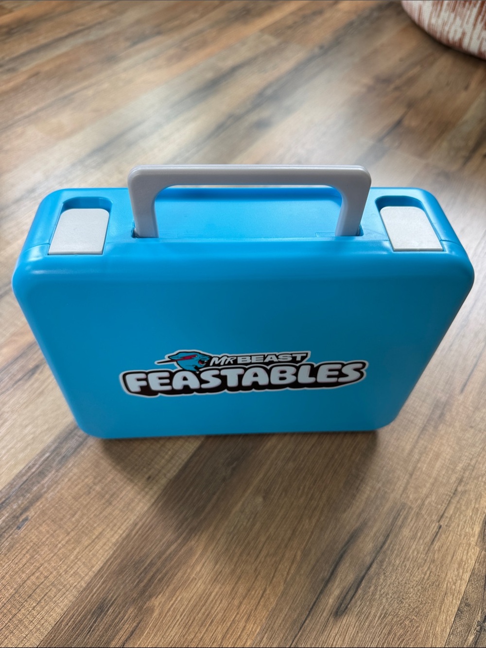 Mr.Beast lunchbox